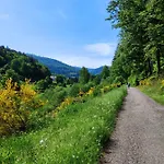 Albtaleck - Wohnen Im Kurort *