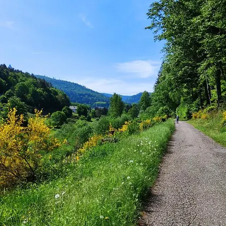 Albtaleck - Wohnen Im Kurort *